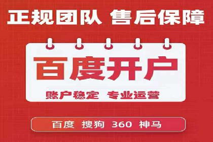 某企业通过SEO和SEM双管齐下实现业绩飞跃的案例